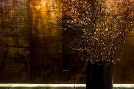 Free stock photo of hilton, hotel, tokyo