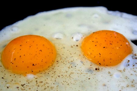 Free stock photo of eggs, jajko, pair photo