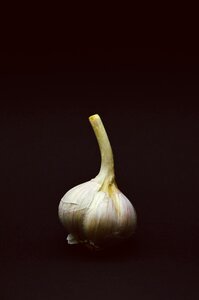 Free stock photo of night