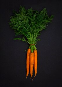 Free stock photo of carrots, food, green photo