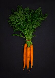 Free stock photo of carrots, food, green