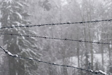 Free stock photo of snow, winter, wires photo