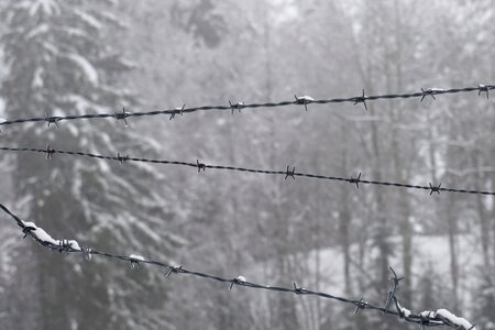 Free stock photo of snow, winter, wires