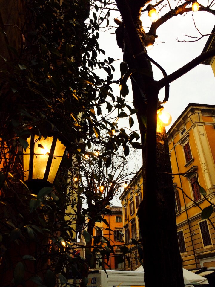 Free stock photo of city lights, italy, modena