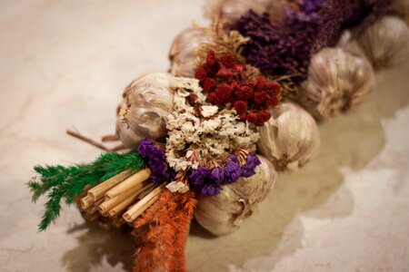 Free stock photo of garlic, kitchen, natural