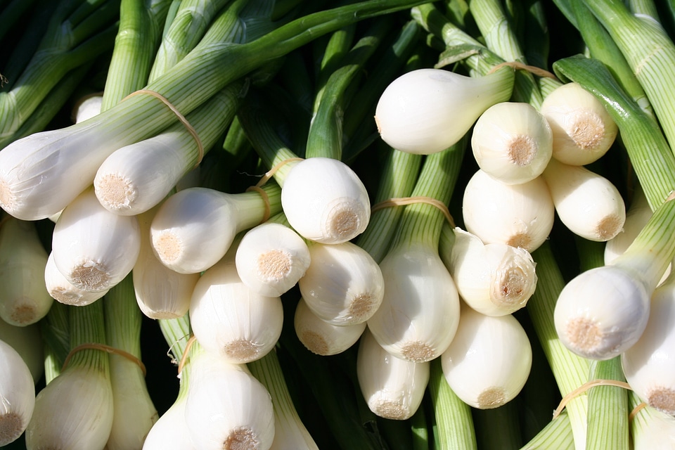 Green white vegetables