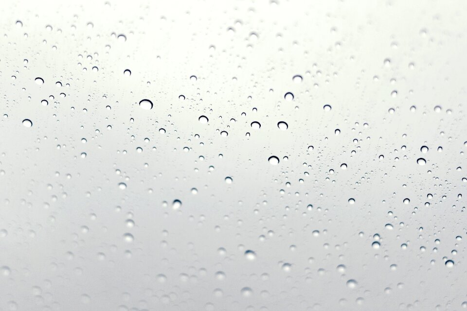 Free stock photo of deszcz, drop, drops