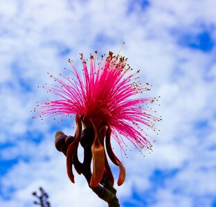 Free stock photo from Tookapic