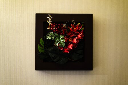 Free stock photo from Tookapic