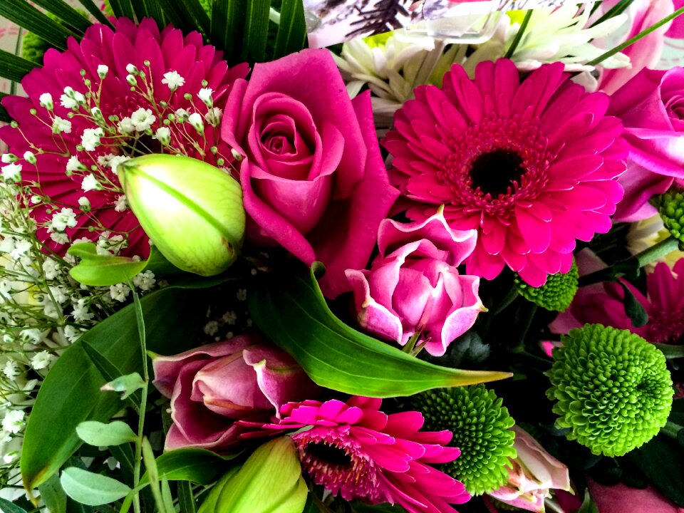 Free stock photo of bouquet, flowers, gerbera