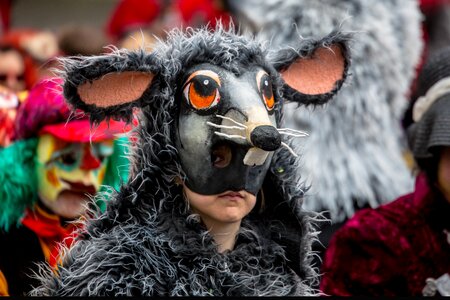 Free stock photo of carnival, mask, parade photo