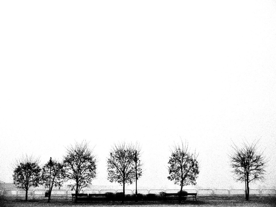 Free stock photo of bench, black and-white, fogg