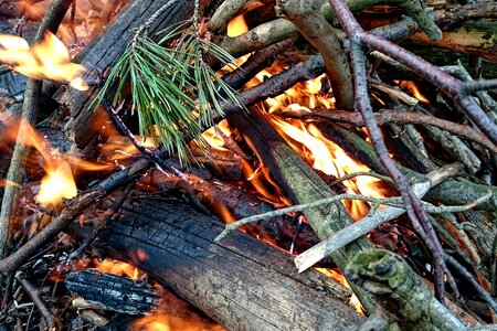 Free stock photo of bonfire, fire, flames photo