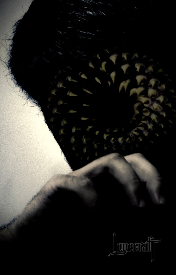 Free stock photo of faceless, horror, leecher