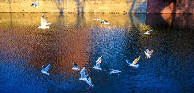 Free stock photo of artistway, drogaartysty, gayphotographer