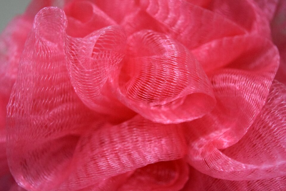 Free stock photo of bathroom, clean, loofa