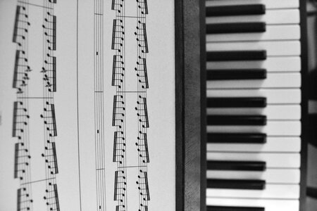 Free stock photo of music, piano, sheets photo