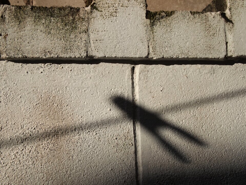 Free stock photo from Tookapic