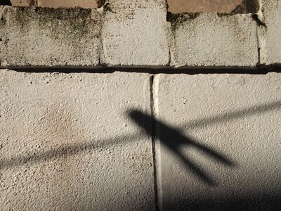 Free stock photo from Tookapic