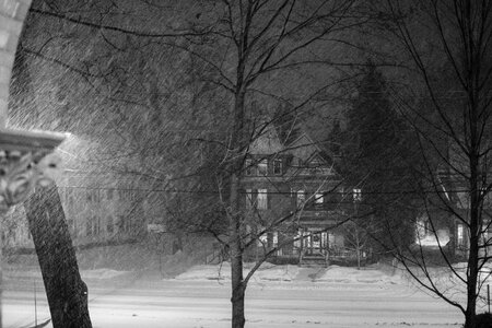 Free stock photo of night, snow, storm