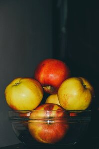 Free stock photo from Tookapic