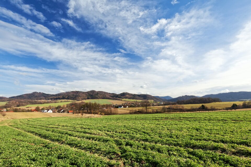 Green Crops Under White Clouds and Blue Sky during Daytime photo