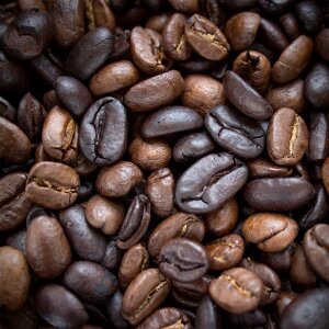 Free stock photo from Tookapic