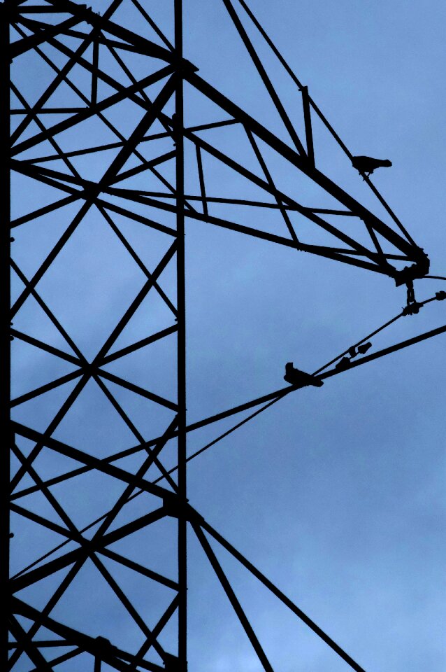 Free stock photo from Tookapic