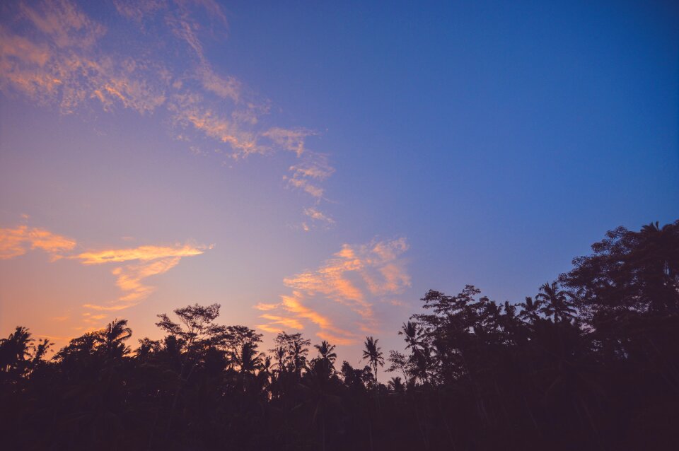 Free stock photo of blue, bluesky, holiday photo