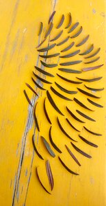 Free stock photo from Tookapic
