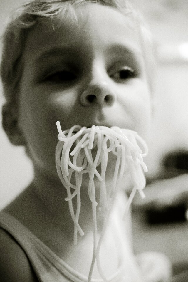 Free stock photo of spaghetti