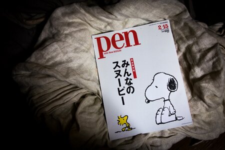 Free stock photo of Japanese, magazine photo