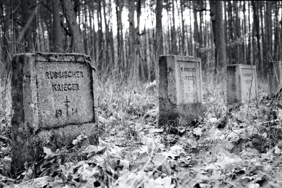 Free stock photo of cemetery, pawlikowice, world war-i