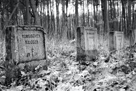Free stock photo of cemetery, pawlikowice, world war-i photo