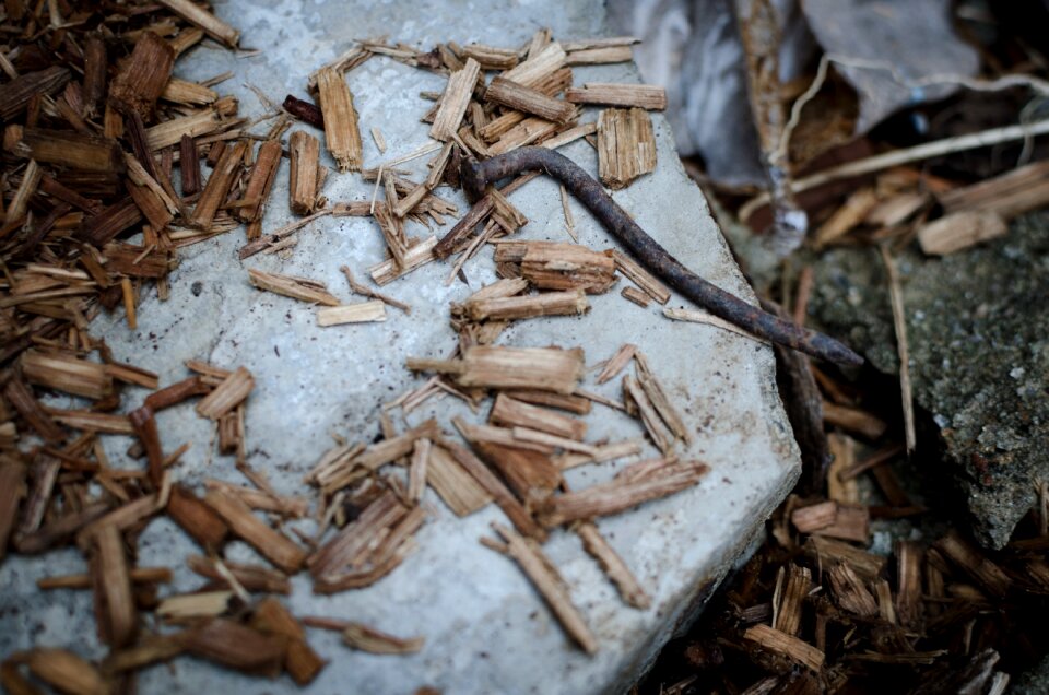 Free stock photo of floor, nail, outdoor
