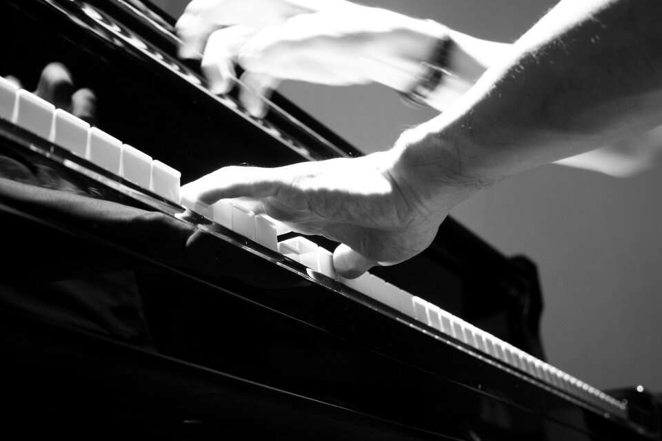 Free stock photo of bw, hand, hands