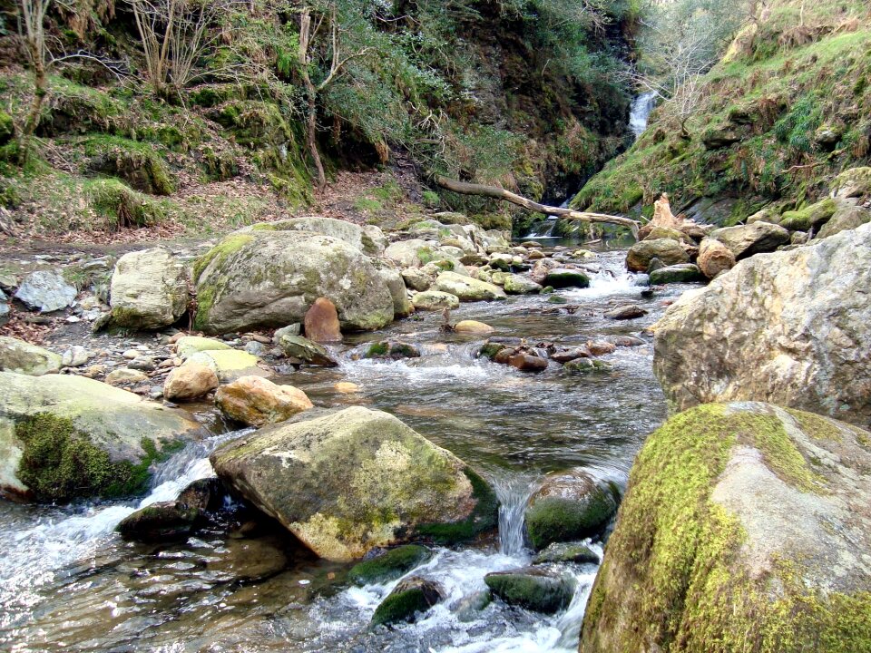 Free stock photo of forest, nature, rocks