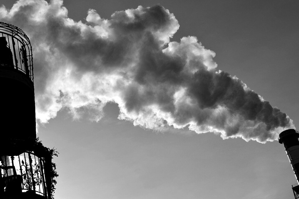 Free stock photo of artistway, atmospheric, blackandwhite