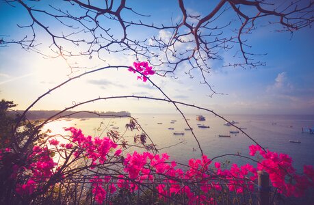 Free stock photo of bali, beach, blue sky photo