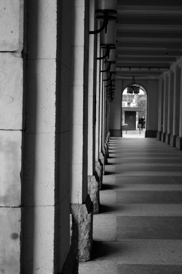 Free stock photo of aesthetic, architecture, beginner