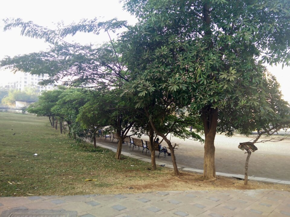 Free stock photo of 365 photos, park, sitting under-tree