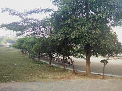 Free stock photo of 365 photos, park, sitting under-tree