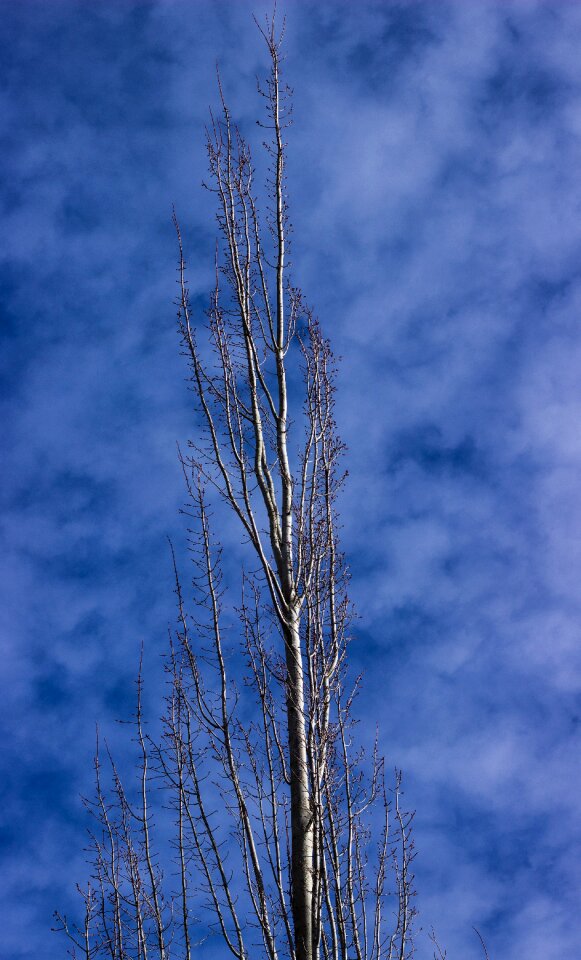 Free stock photo from Tookapic