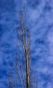 Free stock photo from Tookapic