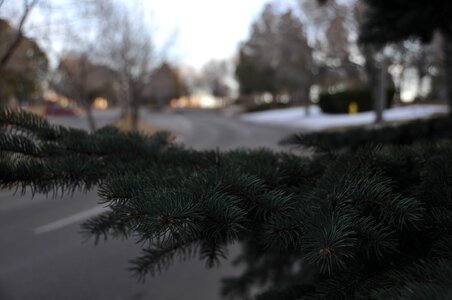 Free stock photo from Tookapic