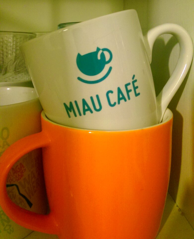 Free stock photo of mug, night