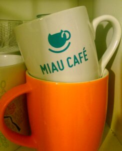 Free stock photo of mug, night photo