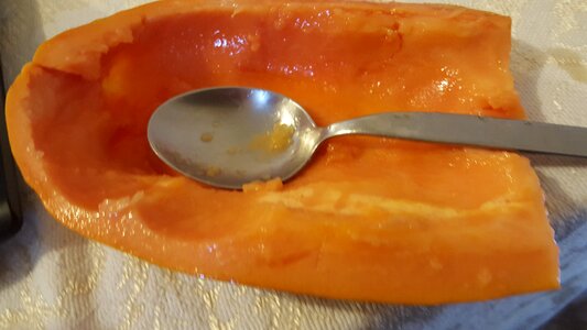Free stock photo of caric, fruit, paw paw