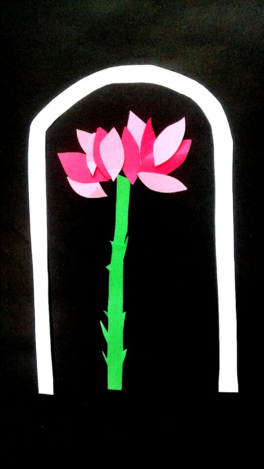 Free stock photo of art, craft, flower