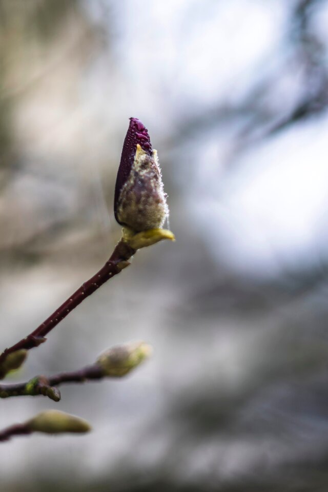 Free stock photo from Tookapic